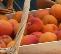 eat something sexy aphrodisiac foods