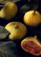 aphrodisiac fig