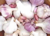 eat something sexy aphrodisiac foods