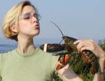 eat something sexy aphrodisiac foods