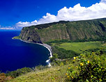 maui dining guide