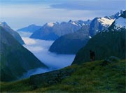 New Zealand Adventures