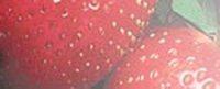 aphrodisiac strawberries
