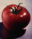 aphrodisiac tomato
