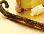 aphrodisiac vanilla