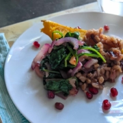 Roasted Winter Squash with grains and pomegranate