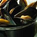 Closeup of spicy steamed mussels in a small, black pot