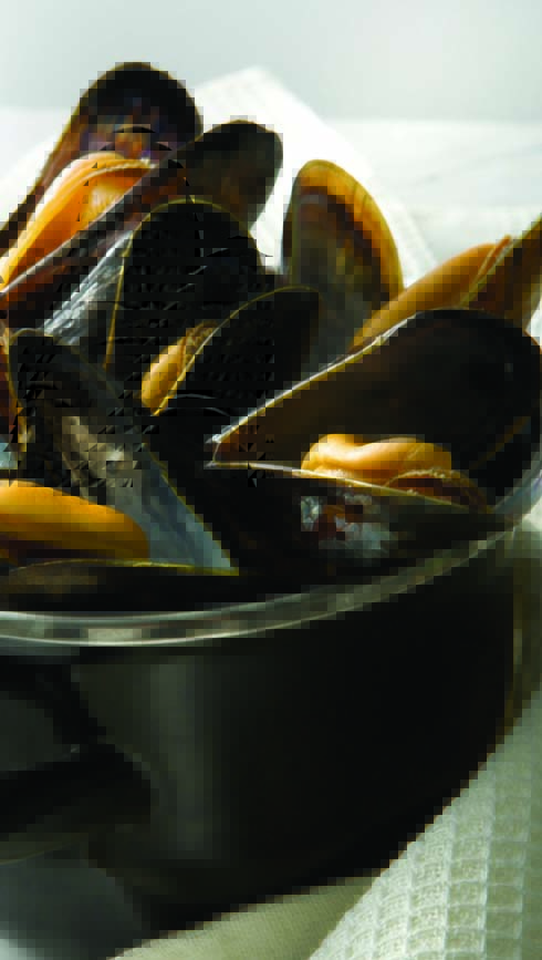 mussels