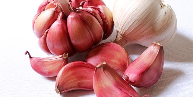 closeup of two garlic bulbs to help illustrate the benefits of garlic