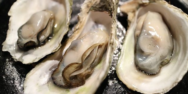 closeup of three raw oysters on the half shell