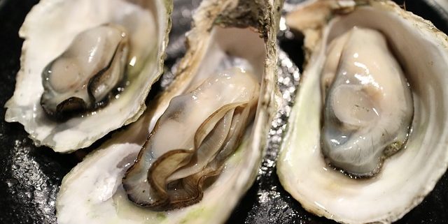 Oysters Benefits Sexually: The Real Reason Oysters are Aphrodisiac 1 closeup of three raw oysters on the half shell