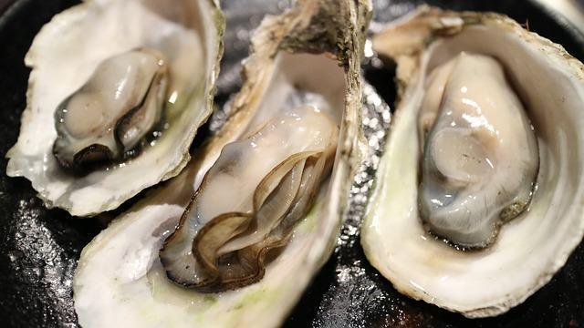 Image result for oysters