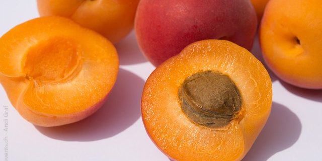 Apricot Benefits & Aphrodisiac Use 1 apricots on a white background