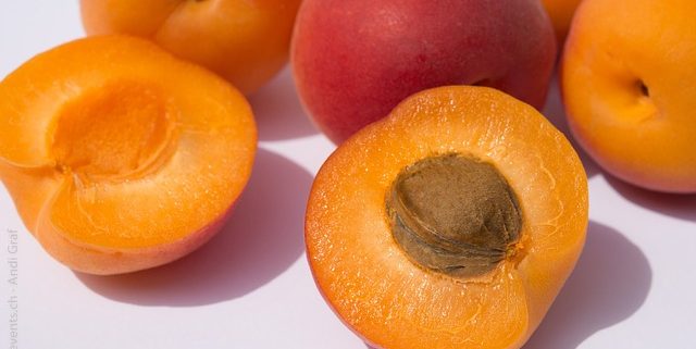 apricots on a white background