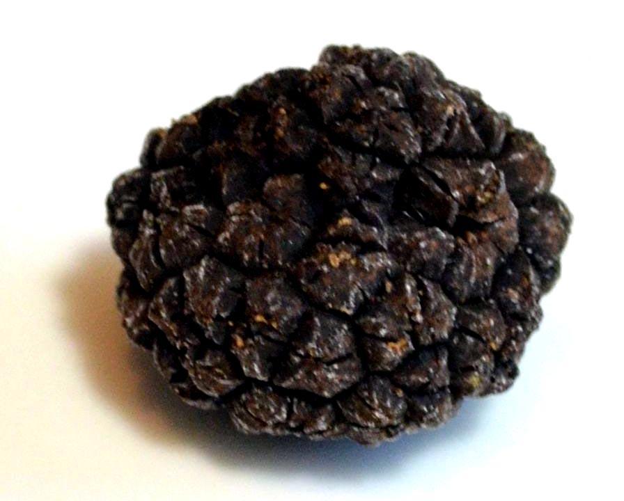 a closeup of an Oregon black truffle on a white background