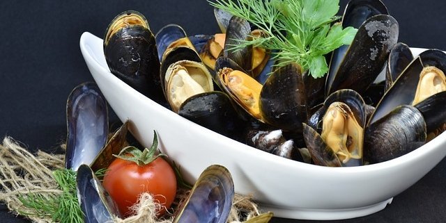 Tequila Mussels in a white bowl with a tomato on front and some green herbs behind the mussels in the dish