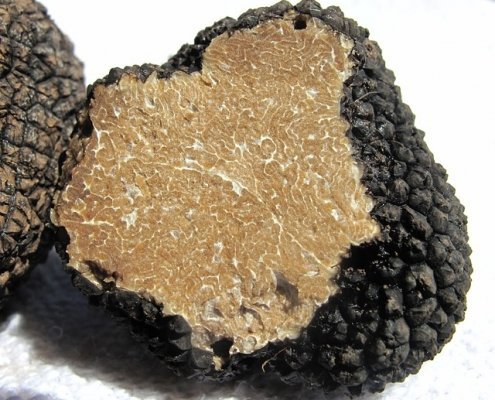 The history of truffles