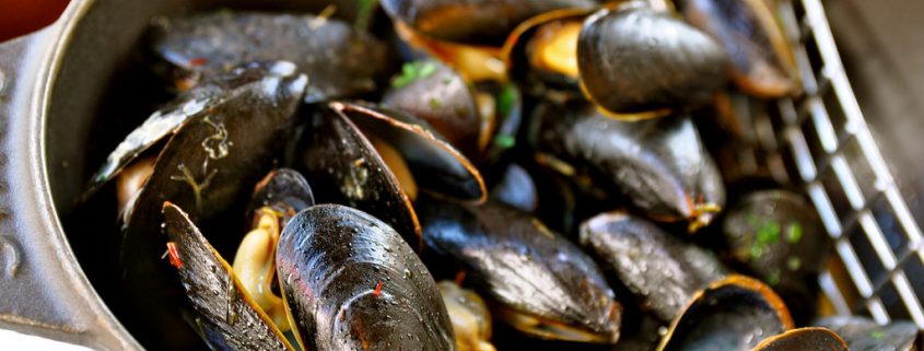 Steamed Mussels in White Wine Tarragon Broth--so easy