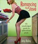 romancing the stove by amy reiley