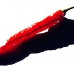 close up of a red chile pepper on a white background