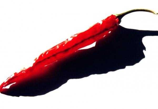 close up of a red chile pepper on a white background