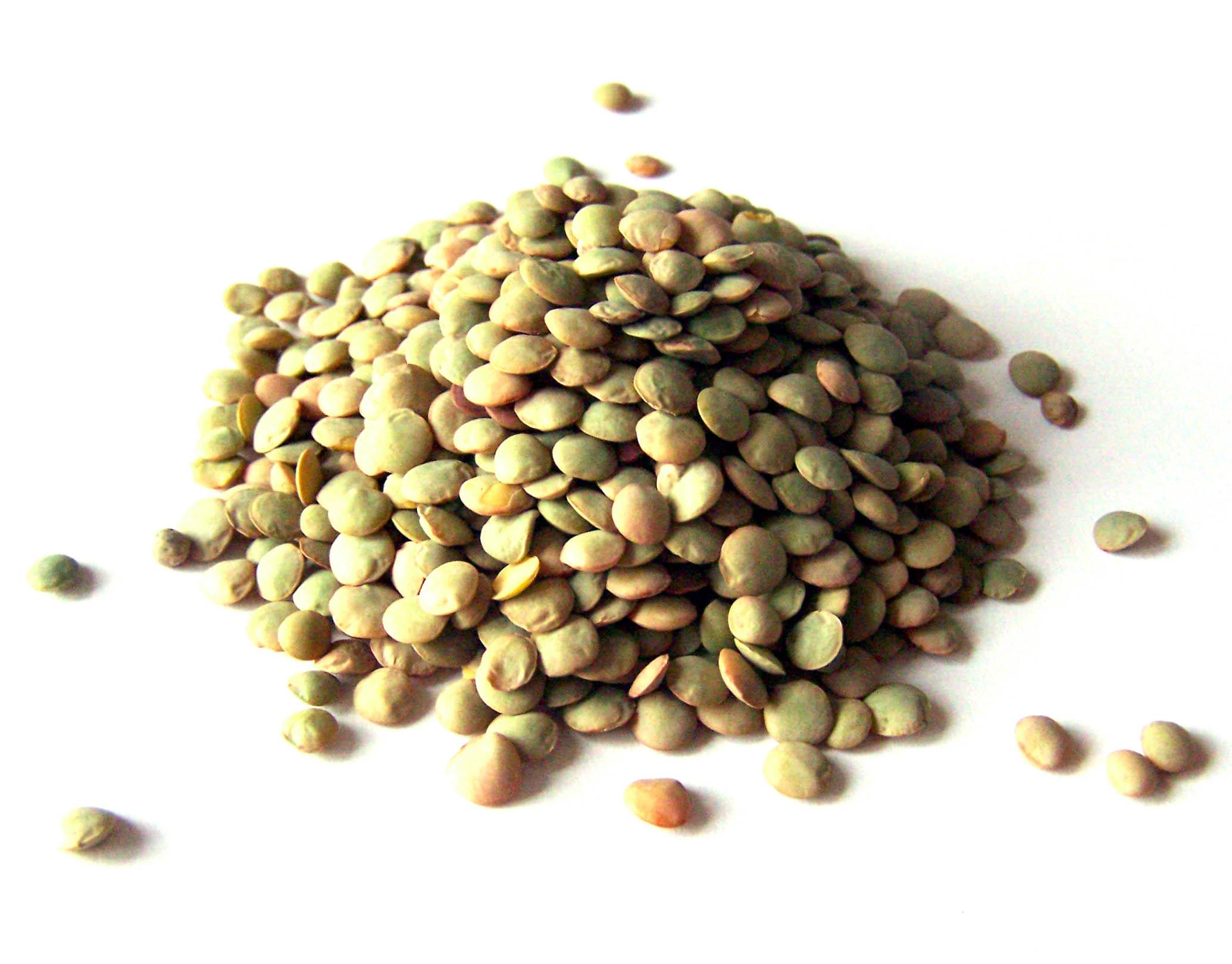 Closeup of green lentils on a white background