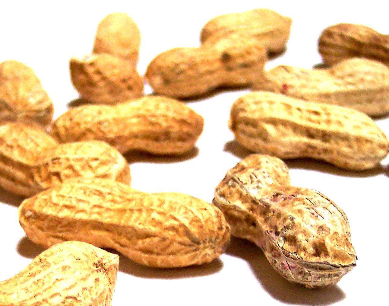 Closeup of peanuts in the shell