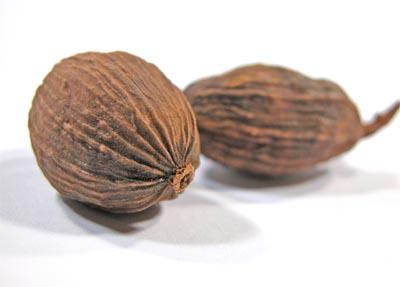 closeup of whole nutmeg to illustrate nutmeg benefits