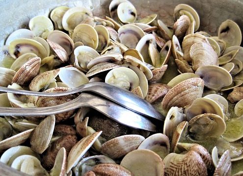 The Keys to Improving Male Libido 8 Clams are Good for Mood