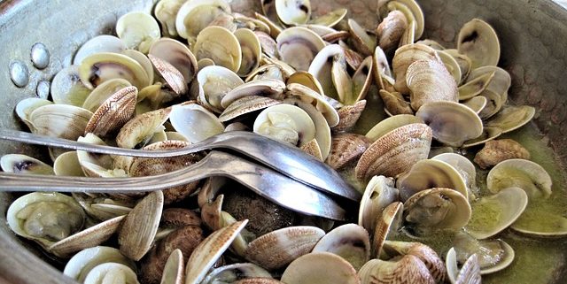 Clams are Good for Mood