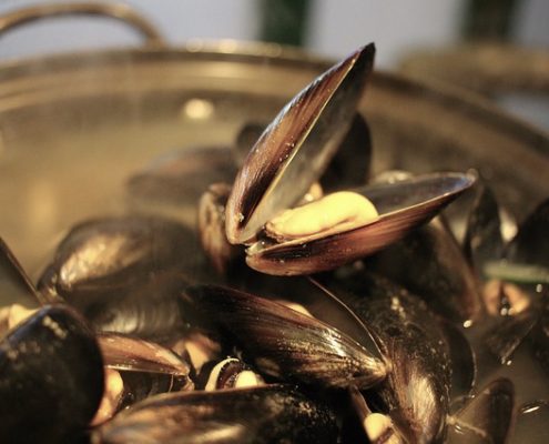 Spanish Style Mussels in Sailor Sauce