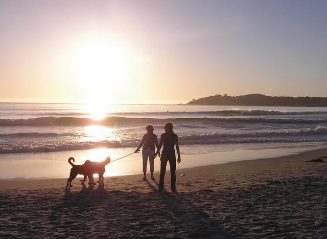 Carmel Dog-Friendly Beaches