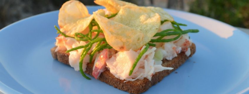 closeup of lobster and potato chip open faced sandwich on a pale blue plate overlooking the beach