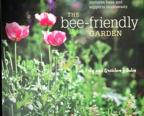 the bee-friendly garden