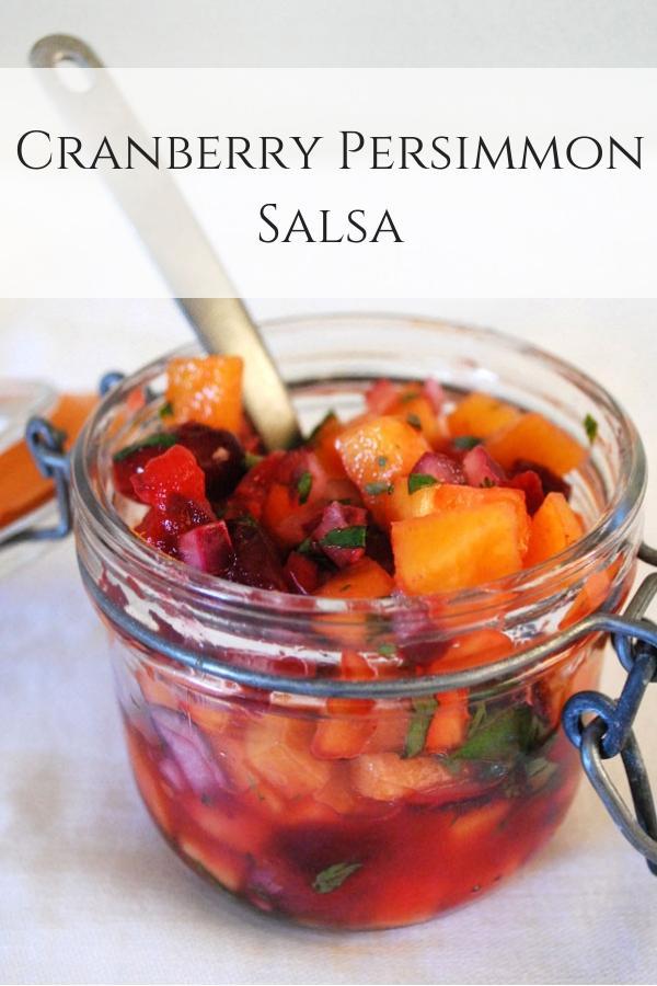 Cranberry Persimmon Salsa