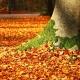 Perfect fall foliage to illustrate romantic getaways in Maine