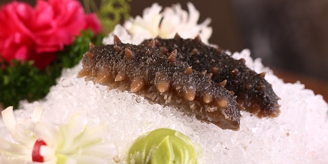 Why sea cucumber is an aphrodisiac