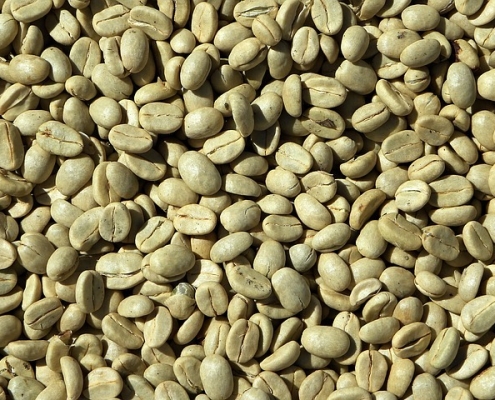 Green Coffee Benefits: how drinking green may boost health 6 Closeup of green coffee beans