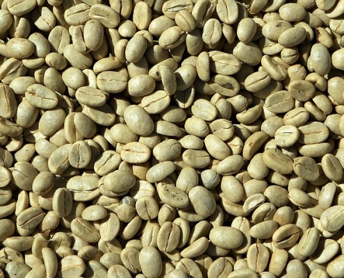 Closeup of green coffee beans