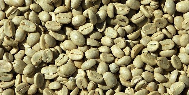 Closeup of green coffee beans