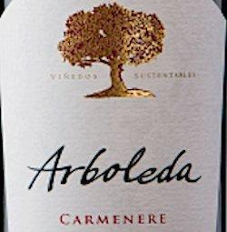 A Great Carmenere from Chile