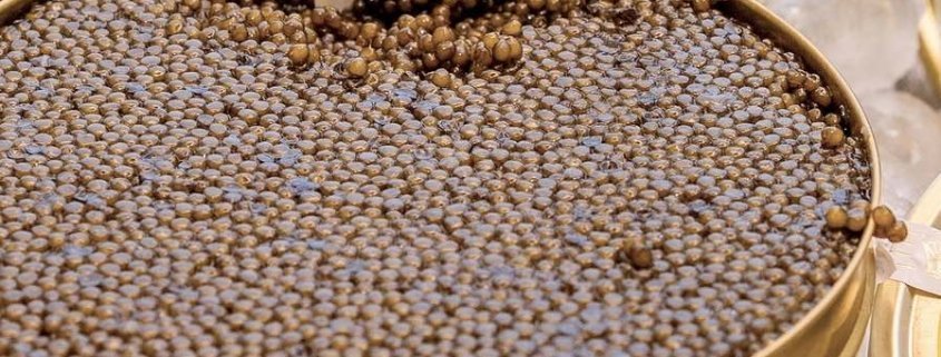 a large, gold tin of caviar to illustrate caviar aphrodisiac