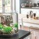 biOrb Tube--why you need this fish tank