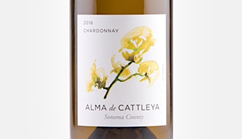 The Great Value Pinot Noir and Chardonnay from Alma de Cattleya 1