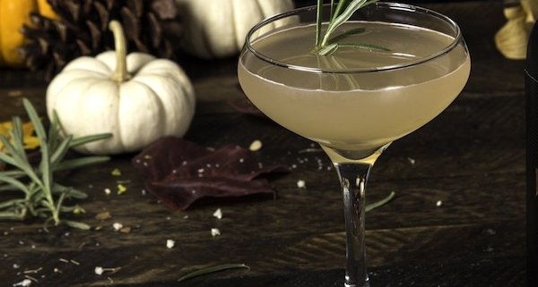 closeup of an East Indian Gimlet cocktail with a sprig of rosemary for garnish and a trio of pumpkins in the background