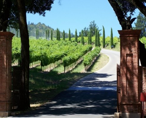 2019 Gift Guide: Gift Giving the Wine Country Way 1