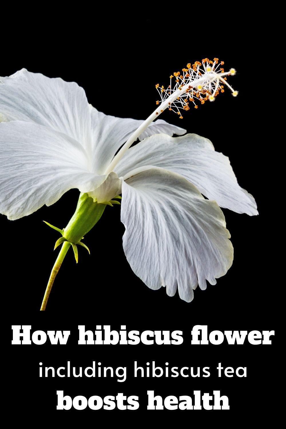 The benefits of hibiscus flower