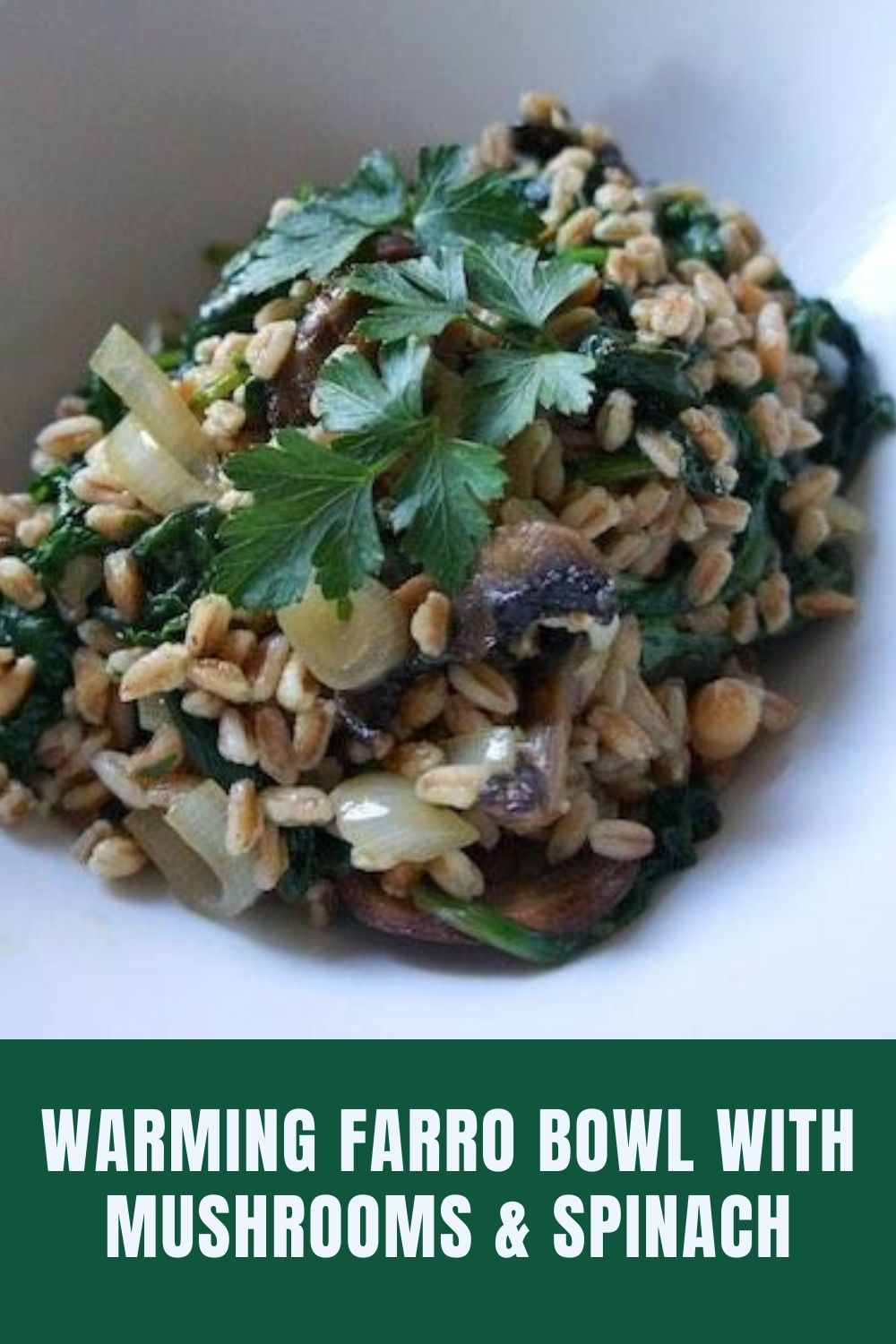 farro bowl graphic