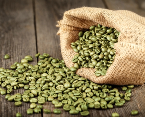 closeup of a burlap bag of green coffee with coffee beans spilling out of it.