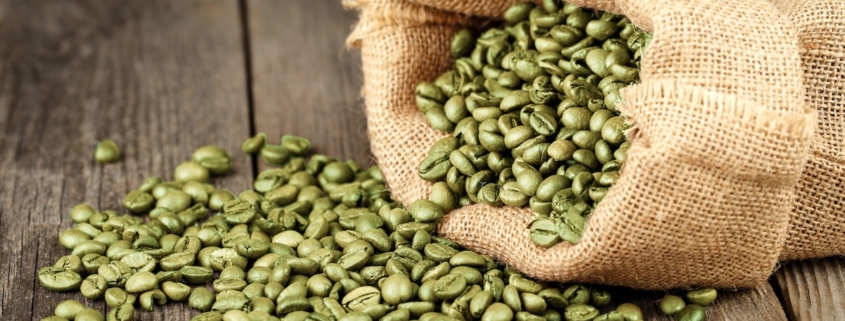 closeup of a burlap bag of green coffee with coffee beans spilling out of it.
